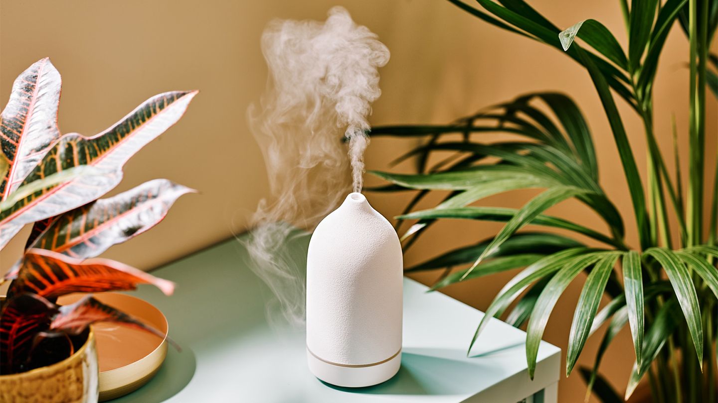 humidifier next to plants