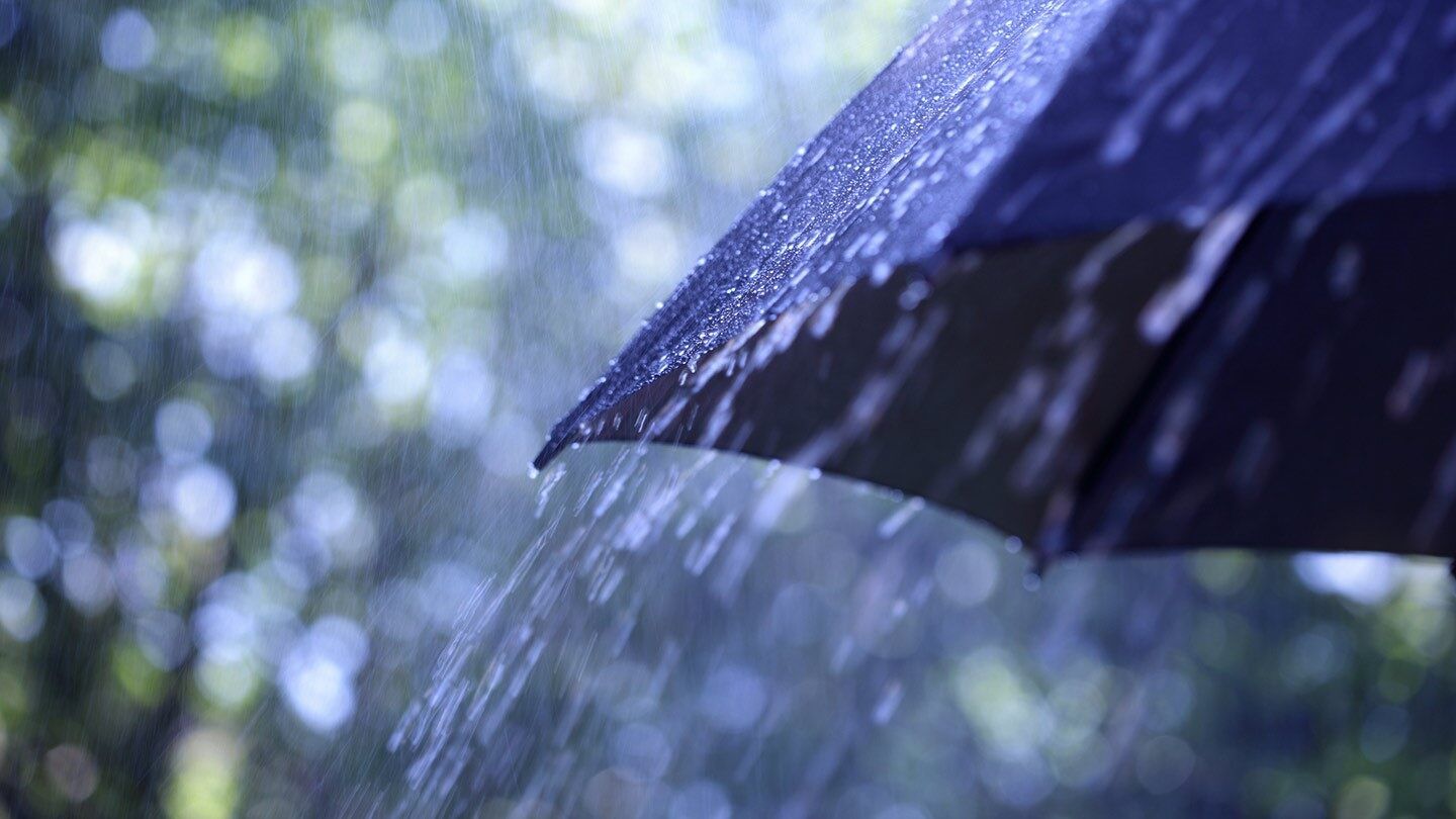 an umbrella and rain